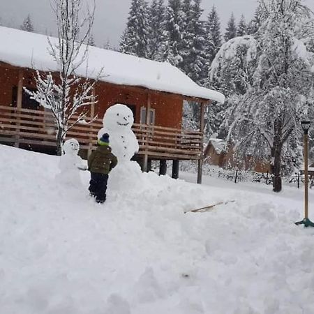 Cottage Shgedi メスティア エクステリア 写真