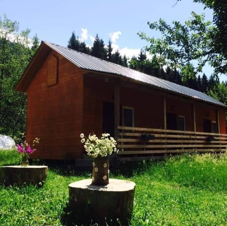 Cottage Shgedi メスティア エクステリア 写真
