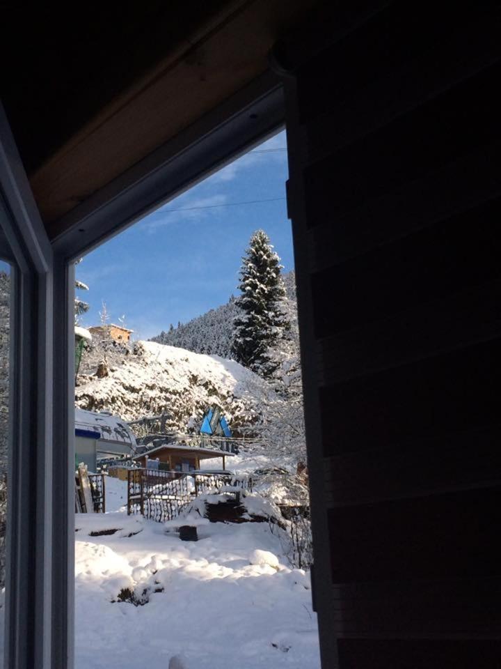 Cottage Shgedi メスティア エクステリア 写真