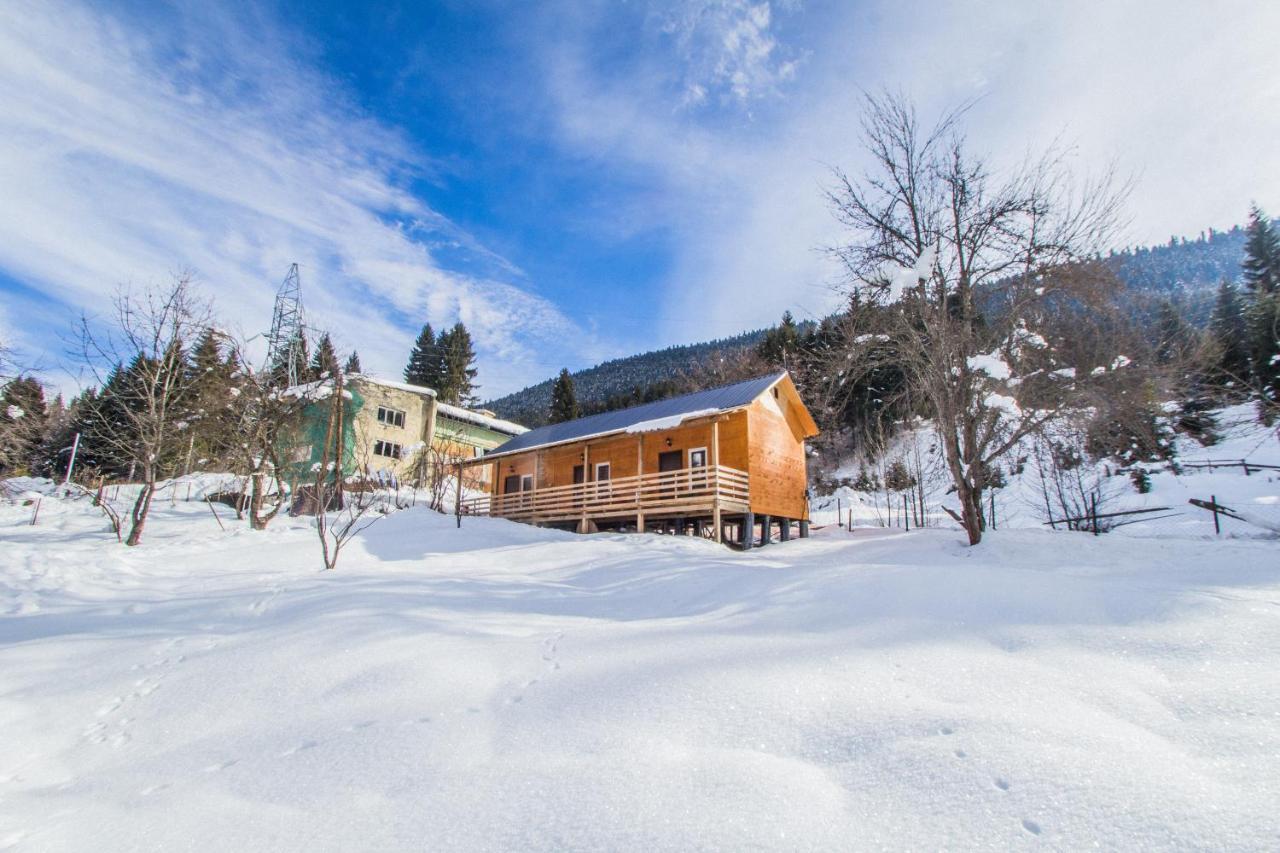 Cottage Shgedi メスティア エクステリア 写真