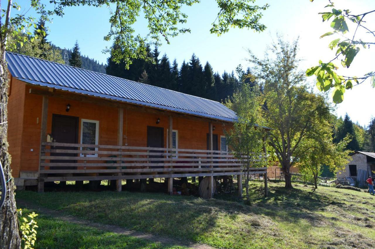 Cottage Shgedi メスティア エクステリア 写真