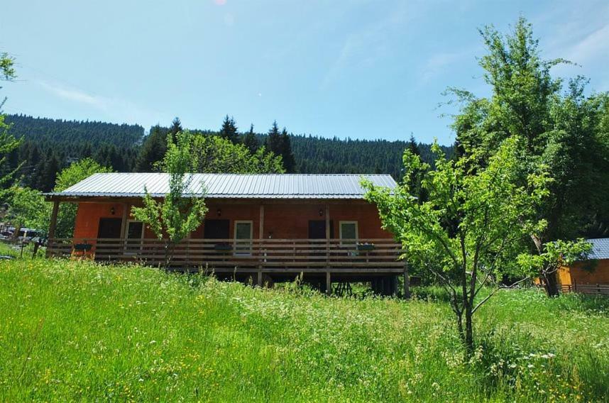 Cottage Shgedi メスティア エクステリア 写真