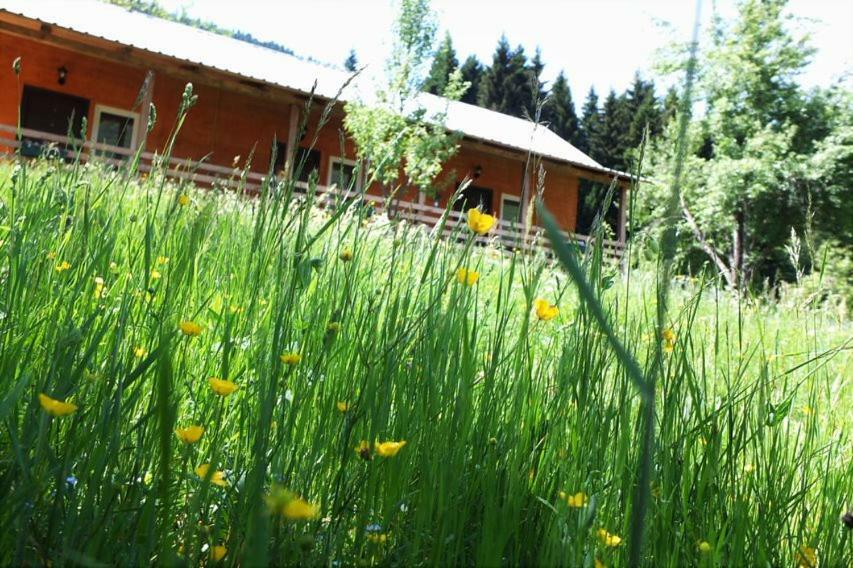 Cottage Shgedi メスティア エクステリア 写真
